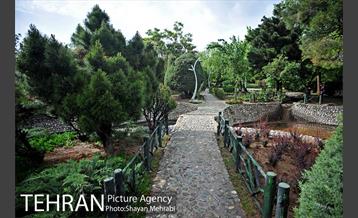 بوستان لاله 5