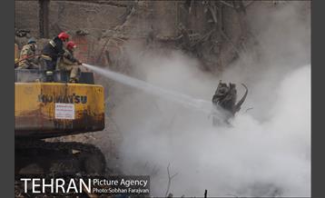 همه قهرمانان آمدند  13