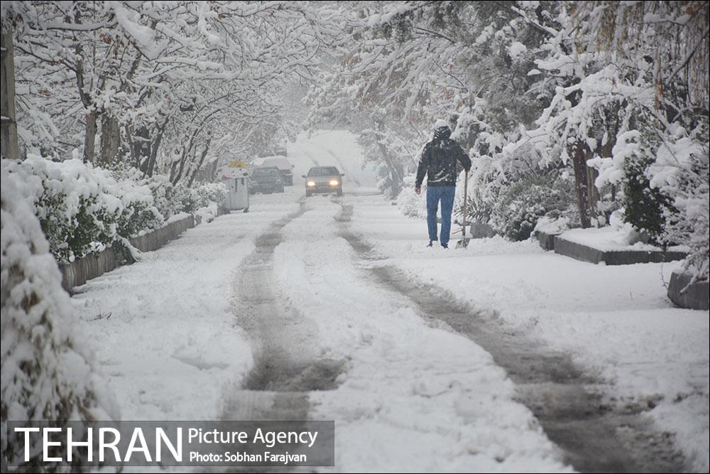 بارش برف زمستانی در تهران-2 11