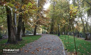 طبیعت پاییزی مجموعه فرهنگی تاریخی سعدآباد  32