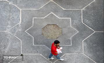 حال خوب زندگی برای بچه‌های پروانه‌ای 4