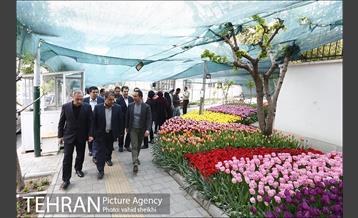 هفتمین سالگرد رویداد جذاب و دیدنی "پیاده راه لاله برای مادران" 15