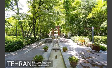 باغ ایرانی 13