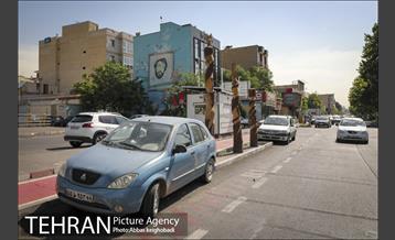 پارک خودرو‌ بین درختان چنار 9