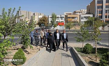 بازدید اعضای شورا از پروژه‌های خاکریز آب 18