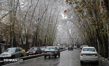 بارش نخستین برف زمستانی در تهران 15