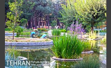 باغ راز هستی 31