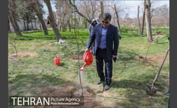جشن نهال هاى کوچک شهر و تخم مرغ هاى رنگى در منطقه ٩