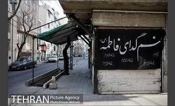 شهرنگار؛ محله بریانک 22