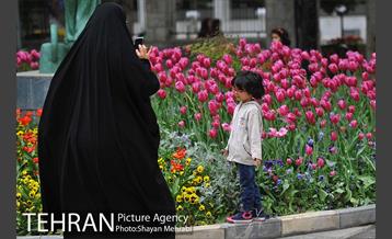 رویش گل لاله در پارک شهر 8