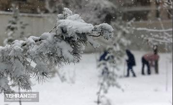 روز برفی پایتخت 17