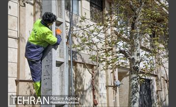 اجرای طرح استقبال از نوروز ۱۴۰۰ در منطقه 8