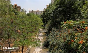 مسیل رودخانه ولنجک