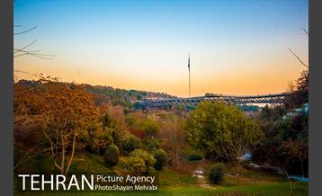 پاییز پل طبیعت 45