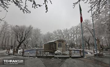 روز برفی در منطقه 8