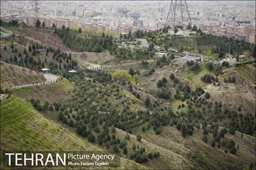 روز طبیعت در بوستان هاى منطقه ٥