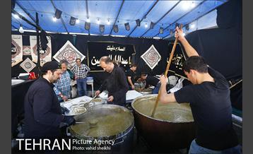 پیاده روی جامندگان اربعین حسینی (ع) در تهران 22