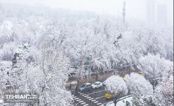 روز برفی در منطقه 6