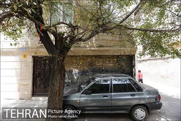 محله مینابی 29