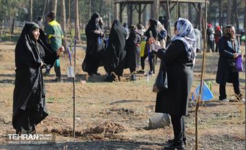 آیین یلدای مهربانی و کاشت نهال در بوستان سرخه حصار 22