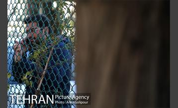 مانور پناهگیری محل امن در زلزله 19