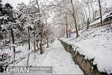 بارش برف زمستانی در تهران 10