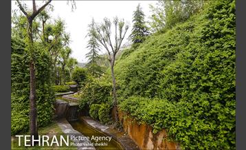 بوستان نهج البلاغه در یک روز بارانی 29