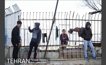 بازدید شهردار تهران از کوره پز خانه شاغلام (خلازیر) 6