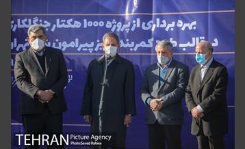 بازدید و افتتاح پروژه جنگل کاری 1000هکتاری در بوستان جنگلی تلو 23