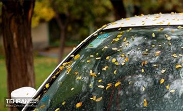 بارش باران پاییزی در تهران 8