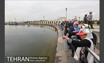 همایش پیاده روی خانوادگی بازنشستگان شهرداری تهران 10