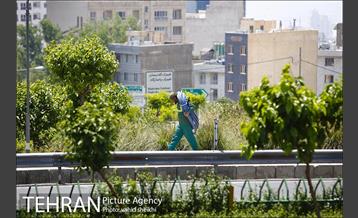 بزرگراه یادگار امام 17