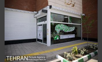 طرح گلماند در منطقه 18