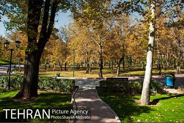 پاییز در پارک های تهران 4