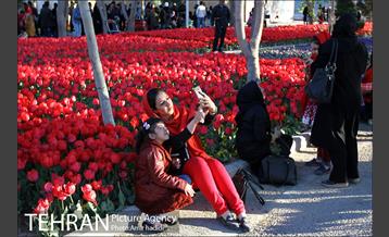 جشنواره لاله‌ها در بوستان زندگی محله هرندی 16