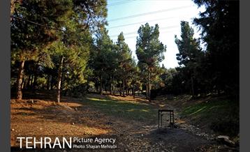 پارک جنگلی سرخه حصار 18