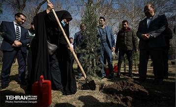 سنت حسنه درختکاری، یادبود شهدای منطقه6