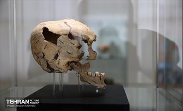 موزه ملی ایران در ایام نوروز 3