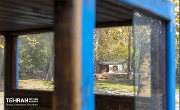 سمفونی رنگ های پاییزی - کاخ سعدآباد 4