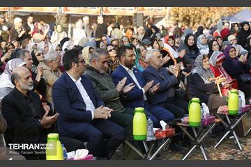 ششمین جشنواره خرمالو 11