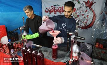 دوازدهمین جشنواره انار  5