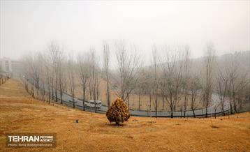 عباس آباد در مه 10