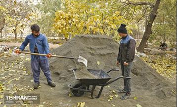 مراحل احداث پروژه ی باغ باهنر 26