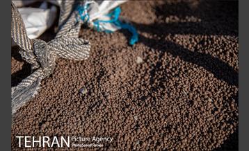 تولید کود کمپوست در پارک جنگلی آزادشهر 19