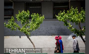 شهرنگار؛ خیابان انقلاب 6