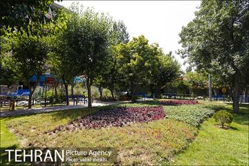 بوستان المهدی 16
