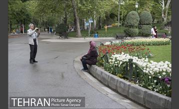 روز تعطیل در بوستان ملت 27