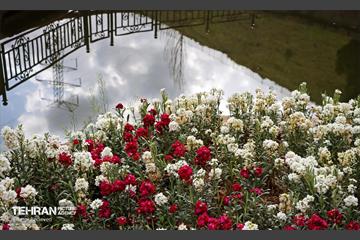هوای بهاری منطقه 5 3