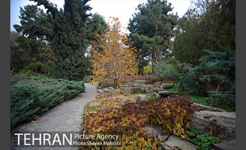 باغ گیاه‌شناسی ملی ایران 52