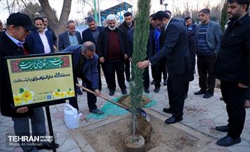 جشن درختکاری در منطقه 18 19